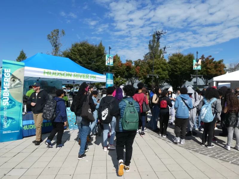 Crowd entering the outdoor venue